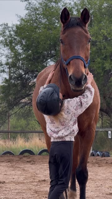 A helmeted child embracing a chestnut horse