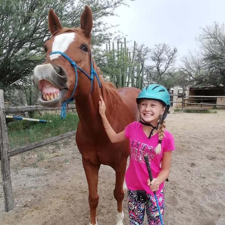 Smiling girl in a helmet with a chestnut horse