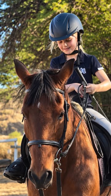 A helmeted young rider sitting on a chestnut horse beneath trees
