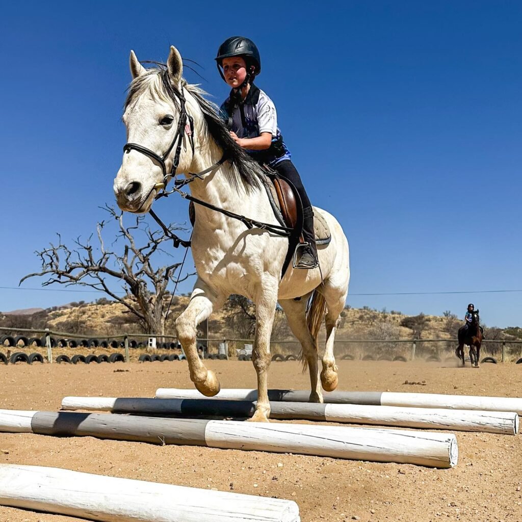 Rider on a grey horse stepping over white poles in the arena