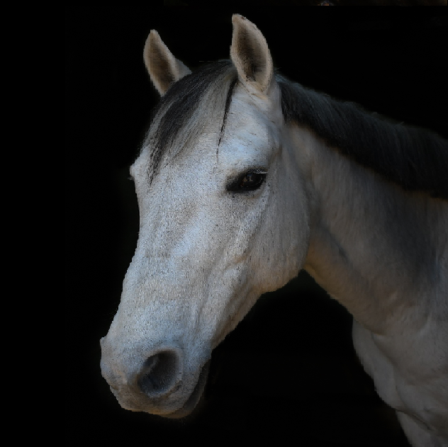 Portrait of Casper, a white-grey pony