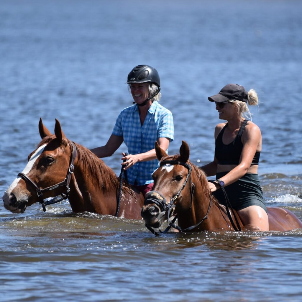 Two riders swimming their horses in a dam